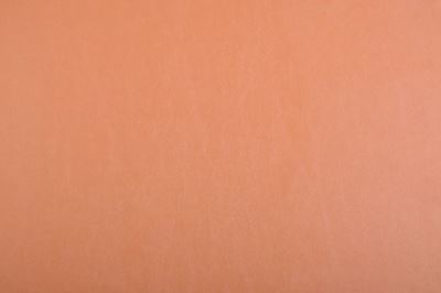 Jemná koženka v okrovej farbe 0814/098 (1)