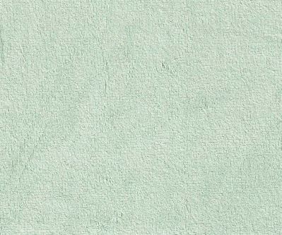 Bambusové froté v mentolovej farbe DS-TU3268 (1)